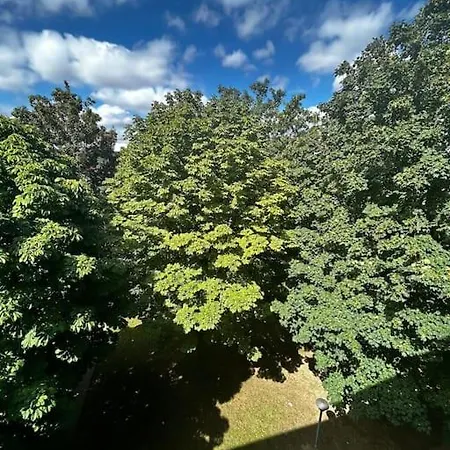 Confort Cosy 公寓 *